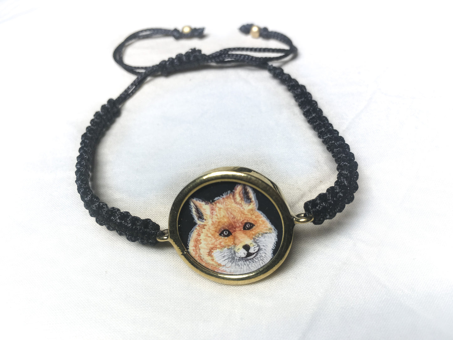 Nocturnal Fox